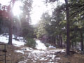 road up into pasture.jpg